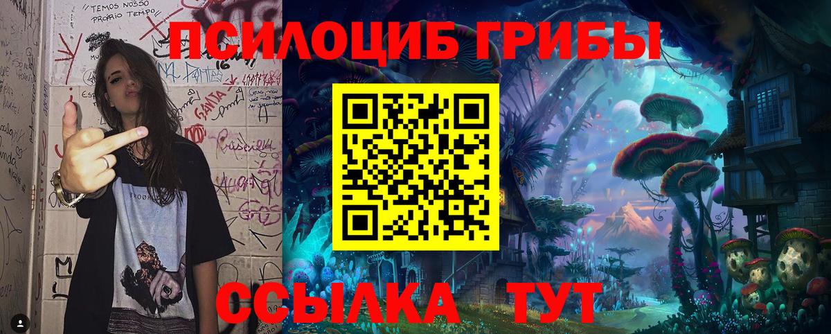Мурманск  Галлюциногенные грибы Magic Shrooms  Псилоцибиновые грибы мухоморы  Вход с VPN 