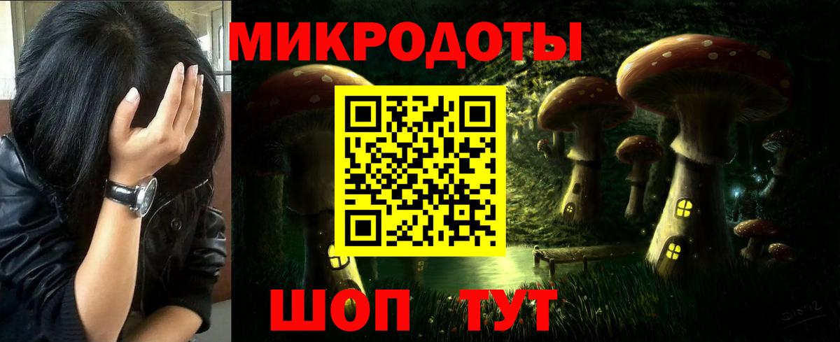 Псилоцибиновые грибы Cubensis Мурманск